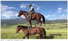 <b>如活动员的奥林匹克体动做、桨板上的后空翻</b> 