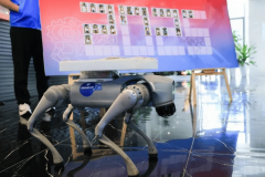 帮帮重生快速融入校园糊口 