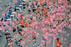 区域科学规划分枪、分区起跑 